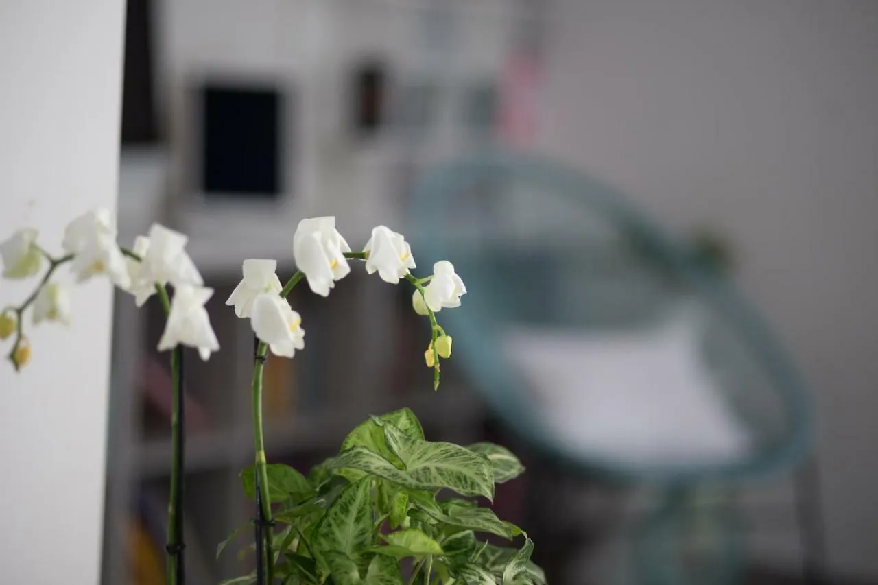 Ideal Familles & Groupes - 10Min Avignon - 5Min Gare - Grand Jardin Clos - Parking Gratuit - Au Calme - Maison Haut De Gamme - Entierement Climatise - 